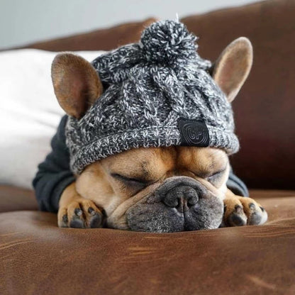 Windproof Knit Dog Hat – Winter Pet Beanie
