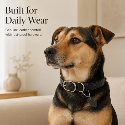Classic Genuine Leather Dog Collar – Personalized Pet Collar with ID Tag
